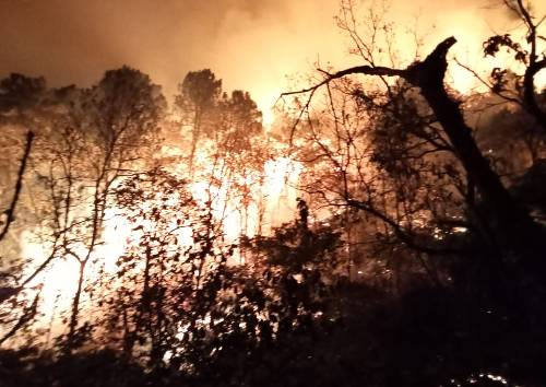 Video: Más de 60 combatientes luchan contra incendio en bosque de Tejupilco